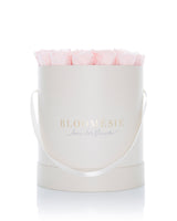 BLUSH